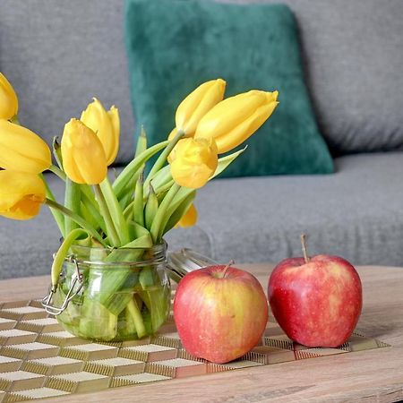 Apartament Letnica Triapart غدانسك المظهر الخارجي الصورة